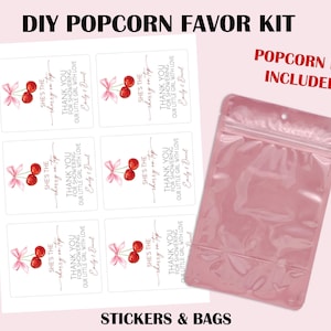 She's The Cherry On Top Baby Shower Party Favors, Cherry Baby Shower Favors, Cherry On Top Favors, Pink Bow Cherry,Coquette Cherry Bow Favor image 2