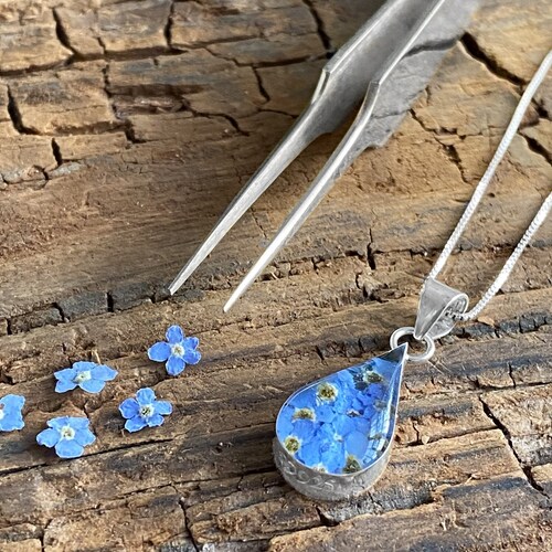 Forget Me Not Necklace. Sterling Silver 