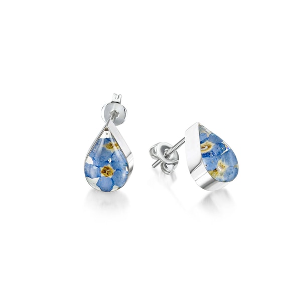 Silver Stud - Forget-me-not - Teardrop. Flower jewellery by Shrieking Violet® (ZSV-FE03)