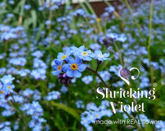 Borchia in argento - Non ti scordar di me - Lacrima. Gioielli a forma di fiore di Shrieking Violet® (ZSV-FE03) - Italia