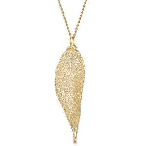 Gold Plated Evergreen Leaf Necklace with Real Leaf Pendant