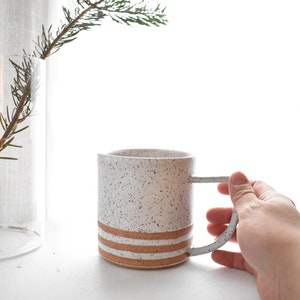 May include: A speckled white ceramic mug with two horizontal brown stripes. The mug has a handle and is held by a hand. A clear glass vase with a green plant is in the background.