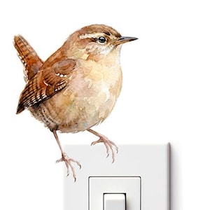 Könnte beinhalten: Eine Aquarellillustration eines kleinen braunen Zaunkönigs, der auf einem weißen rechteckigen Lichtschalter sitzt. Der Vogel hat detaillierte braune und hellbraune Federn, einen spitzen Schnabel und einen kurzen, aufrechten Schwanz.