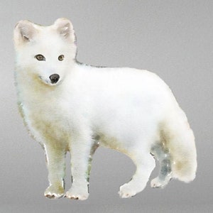 Arctic Fox Wall Decal, Polar Fox Sticker, Watercolor Wall Sticker, Woodland Wall Decal, White Fox, Fox Wall Sticker