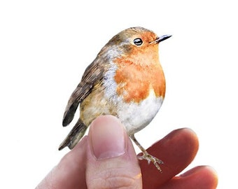 May include: A small, brown, white, and orange robin perched on a person's finger. The bird is looking to the right of the image.