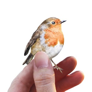 Rödhake-klistermärke, fågelklistermärke, tygdekal, fågelpresent, mors dag-present