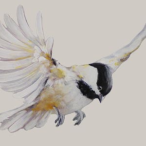 Flying Chickadee, Wall Decal Bird, Black-Capped Chickadee, Get Well Gift, Wall Sticker, Nursery,  Watercolor Bird