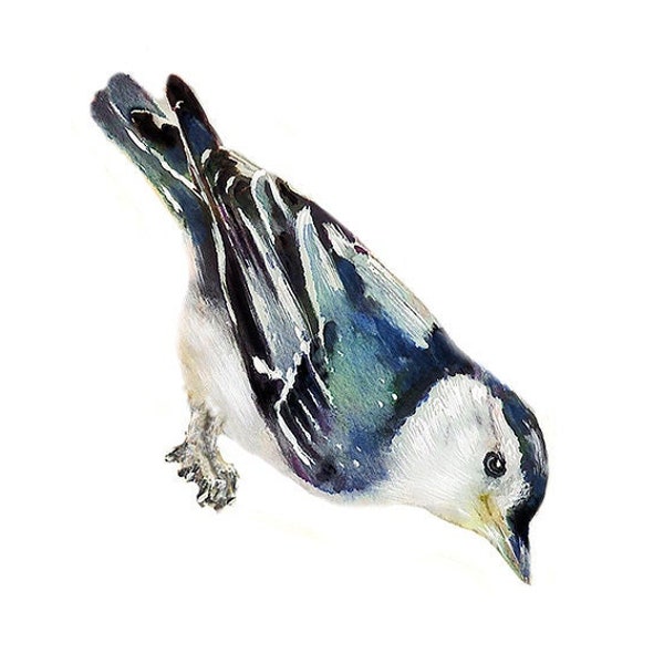 White Breasted Nuthatch, Wall Decal Bird, Bird Wall Sticker, Get Well Gift, Watercolor, Nursery, Nuthatch Wall Decal, Watercolor Bird