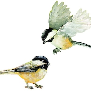Set 2 Wall Decals Birds, Black-Capped Chickadees, Get Well Gift, Wall Sticker, Fabric Decal, Nursery,  Watercolor Bird