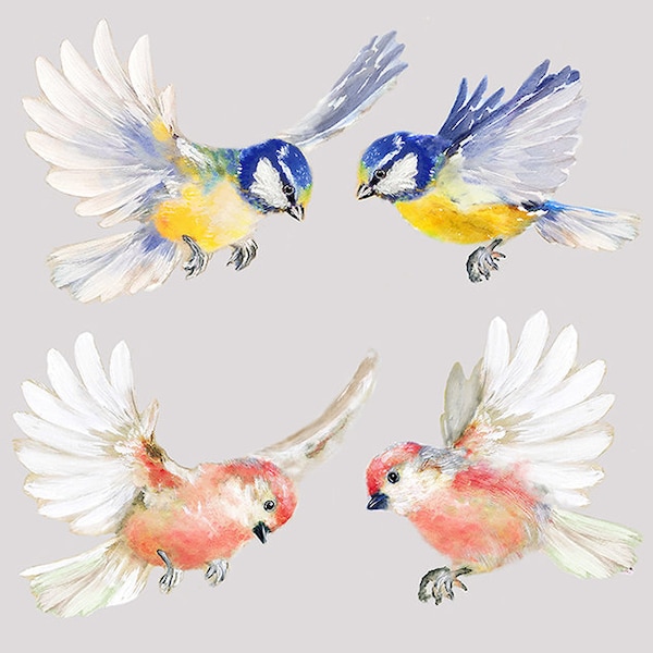 4 Flying Birds, Wall Decal Bird, Bird Wall Stickers, Get Well Gift, Wall Sticker , Watercolor Bird, Pink Birds, Blue Birds, Vinyl