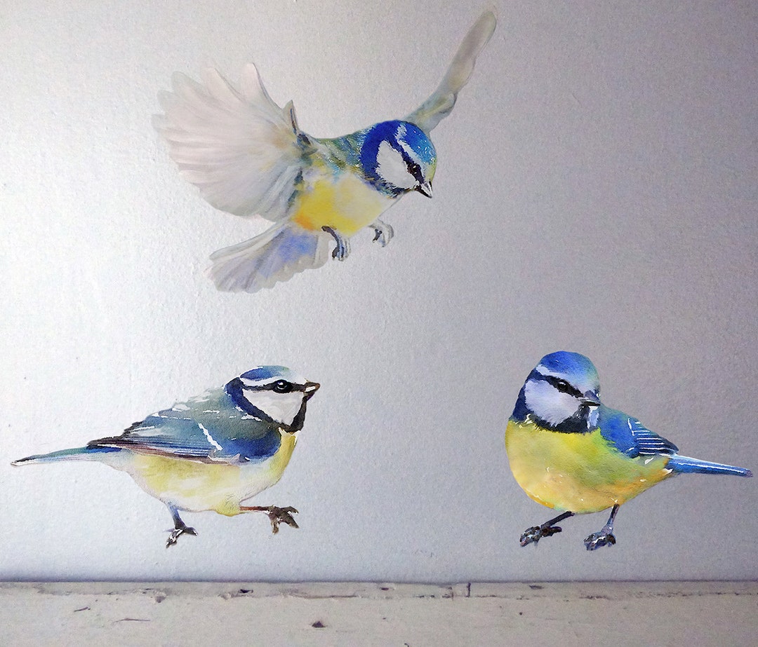 Set of 3 Blue Birds Wall Decal Bird Birds Wall Stickers Etsy