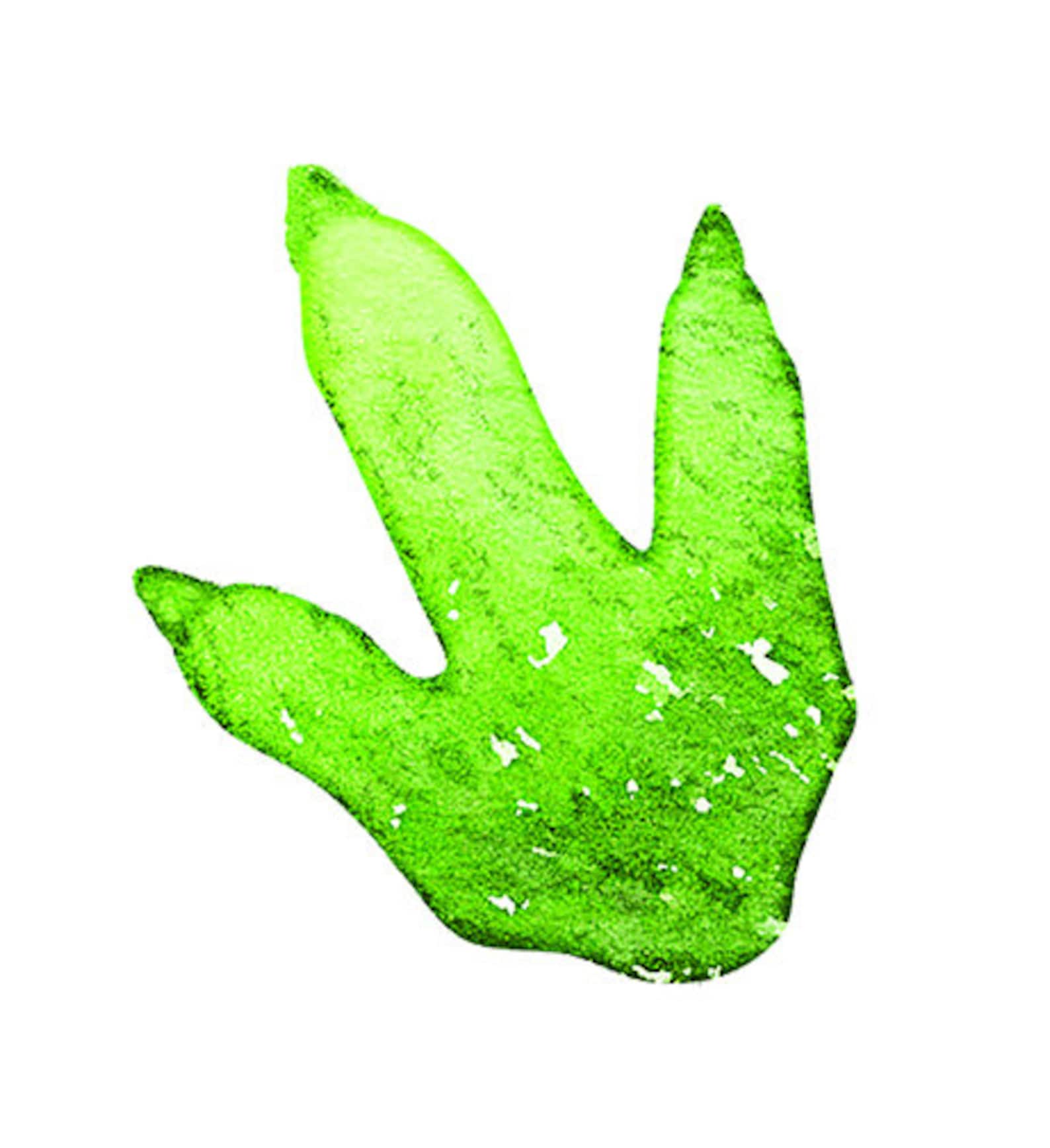 Dinosaur Footprints Dinosaur Feet Decal Dinosaur Feet Etsy Canada