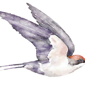 Autocollant Hirondelle, Sticker Oiseau, Sticker Aquarelle, Hirondelle en Vol