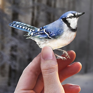 Calcomanía de pared de arrendajo azul, pegatina de pared de pájaro, regalo de recuperación, pegatina de pared de acuarela, vivero, pájaro azul, regalo de jubilación