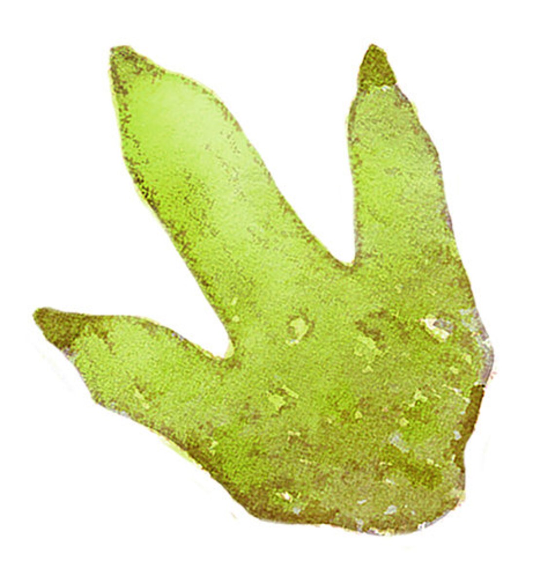 Dinosaur Footprints Dinosaur Feet Decal Dinosaur Feet Etsy Canada