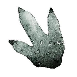 Peut inclure: Une peinture à l'aquarelle d'une empreinte de dinosaure grise.