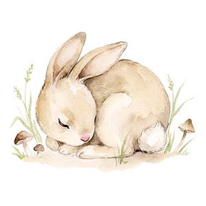 May include: A watercolor illustration of a small, light brown rabbit curled up in a sleeping position. The rabbit has long ears, a pink nose, and a white tail. It is surrounded by thin green blades of grass and three small brown mushrooms.