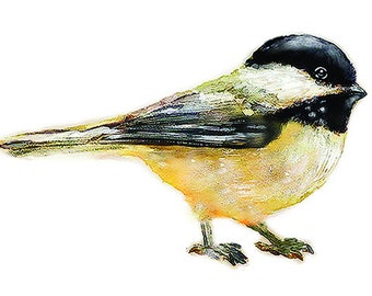 Autocollant Mésange, Sticker Oiseau, Get Well Gift, Sticker Aquarelle, Nursery, Mésange à Tête Noire