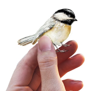 Chickadee Wall Decal, Bird Wall Sticker, Get Well Gift, Watercolor Wall Sticker, Nursery, Black-Capped Chickadee, Fabric Decal