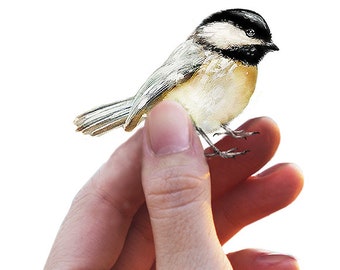 Adesivo murale Chickadee, adesivo murale uccello, regalo di pronta guarigione, adesivo murale acquerello, cameretta dei bambini, Chickadee dal cappuccio nero, adesivo in tessuto