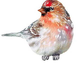 Adesivo con fanello, adesivo murale con uccello, adesivo murale con uccello, regalo di pronta guarigione, adesivo murale ad acquerello, cameretta, uccello ad acquerello, adesivo in tessuto