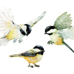 Ensemble de 3 Mésanges, Autocollants  Tissu Oiseaux aquarelle, Cadeau nouveau-né, Nursery
