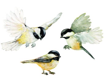 Set 3 Wall Decals Birds, Black-Capped Chickadees, Fabric Decal, Get Well Gift, Wall Sticker, Nursery,  Watercolor Bird