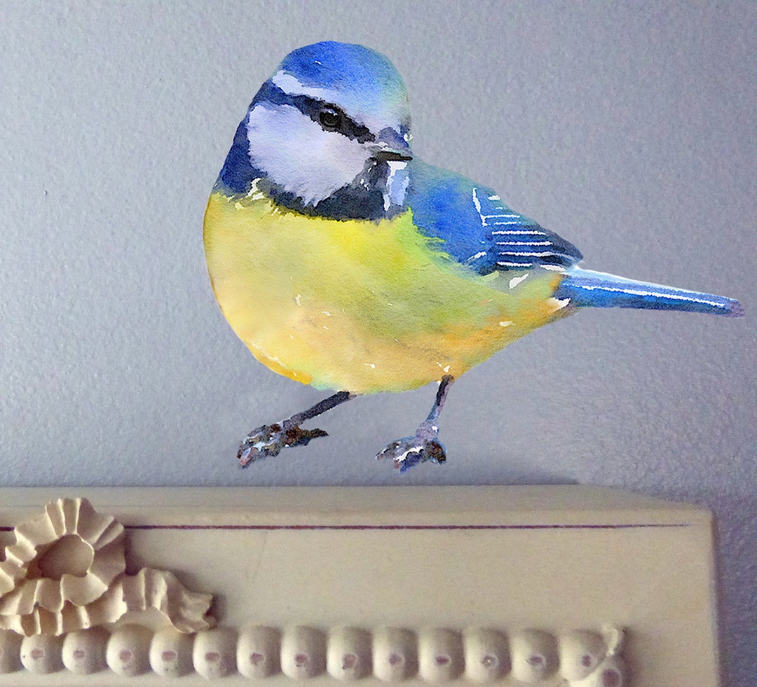 Wall Decal Bird, Bird Wall Sticker, Get Well Gift, Watercolor Wall