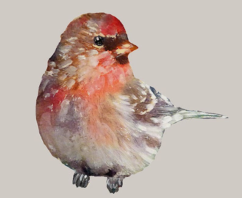 redpoll sticker wall decal bird bird wall sticker get well | etsy