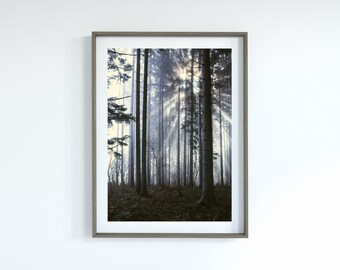 Foggy Trees Digital Art - Misty Forest Wall Art - Foggy Forest Digital Poster - Black and White Printable Art - Moody Digital Wall Art