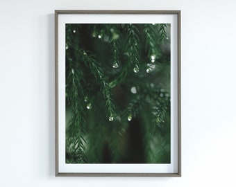 Pine Art Printable, Winter Poster Printable, Digital Tree Download, Green Tree Wall Art, Pine Tree Wall Art, Tree Printable