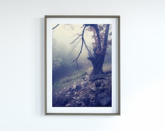 Misty Forest Print – Foggy Trees, Black and White Moody Art (Digital Download)
