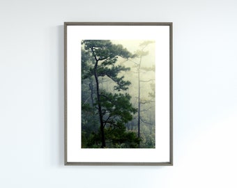Foggy Forest Print - Wall Art Forest - Foggy Forest Digital Wall Art - Pine Tree Art Print - Wall Art Forest - Printable Tree Wall Art