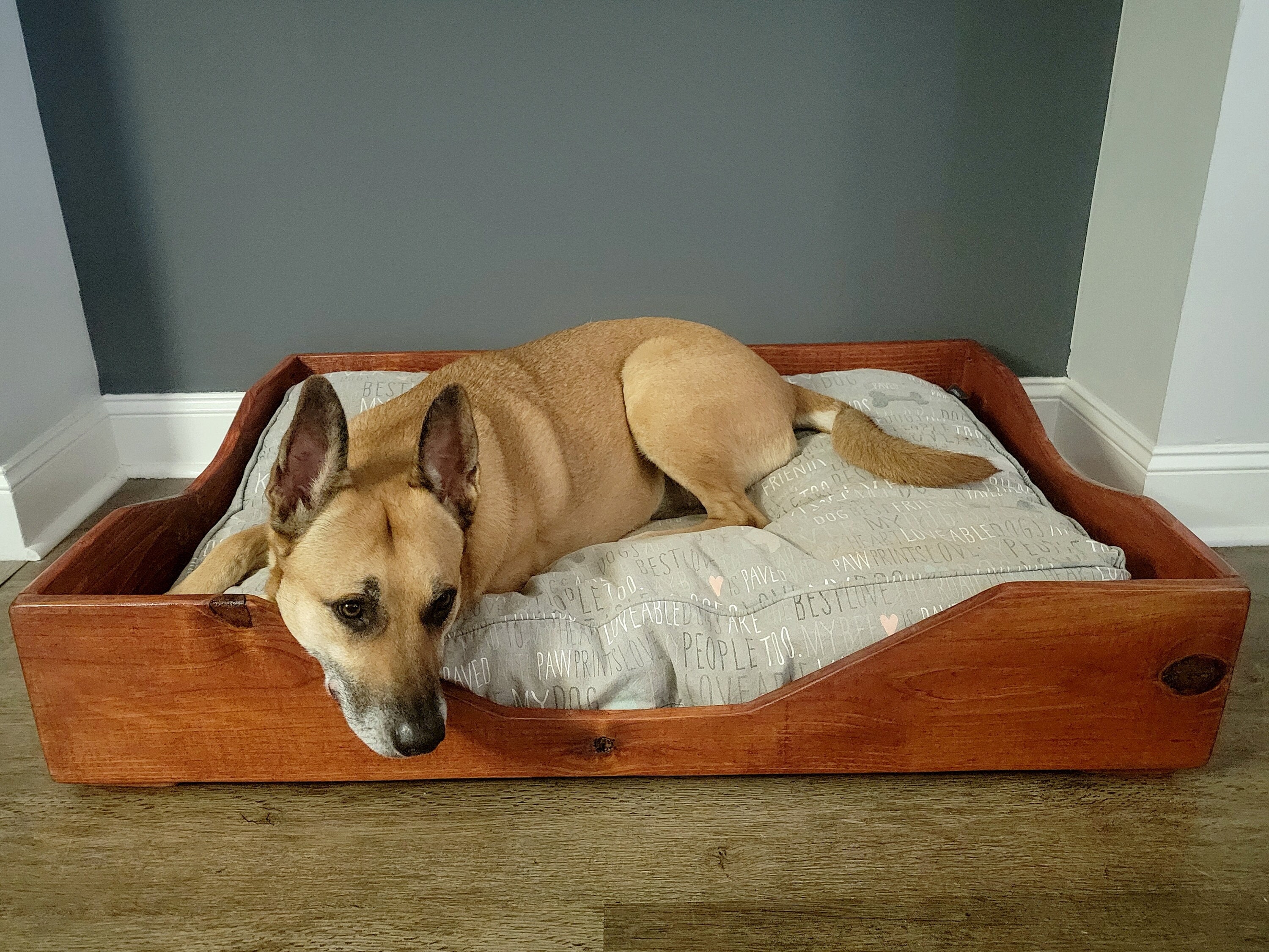 large dog beds perth