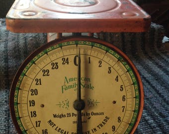 Vintage American Family Kitchen Scale