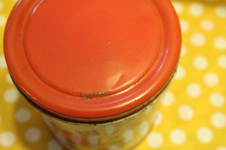 Set of 2 Vintage Decoware Apple and Pear Kitchen Canisters Etsy