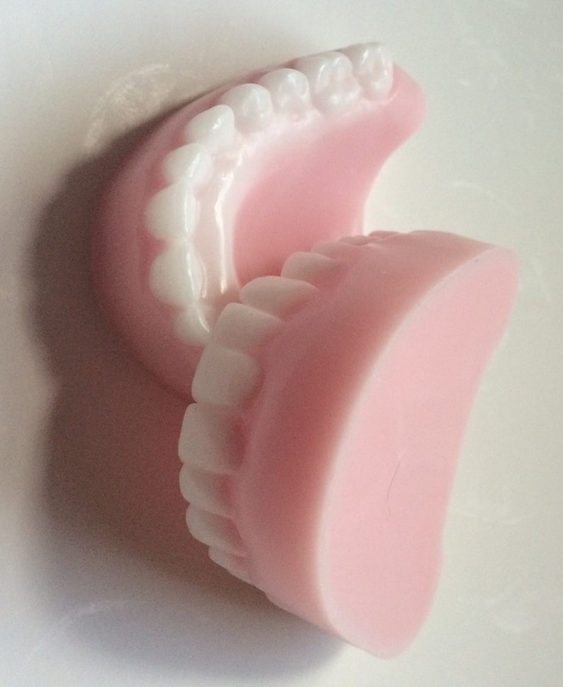 Denture Soap Teeth Handmade Soap Novelty Soap Dentist Etsy