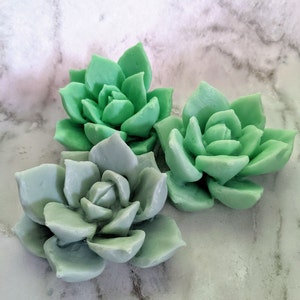 May include: Three succulent-shaped soap bars in shades of green. The soaps are arranged on a white marble surface.