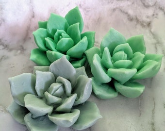 Succulent Soap, Gift for Plant Lady, Vegan, Made in Wisconsin
