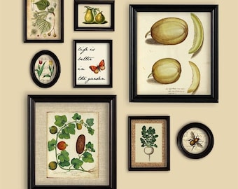 In The Garden Set Of Prints Wall Gallery Vegetable Fruit Tree Butterfly Bee Tulip Pear Melon Radish