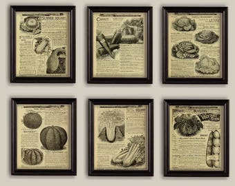 Vintage Vegetables Old Seeds Catalog Reprint Sepia Kitchen Decor Set of 6  8x10