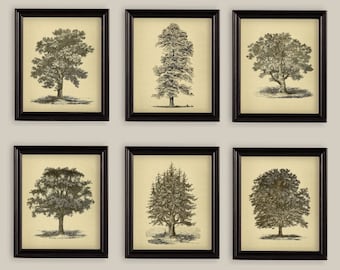 Vintage Tree Botanical Prints: Gallery Wall Art, Set of 6