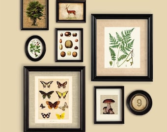 Woodland Theme Set Of Prints Wall Gallery Fern Mushroom Butterfly Deer Tree Walnut Wild Strawberry