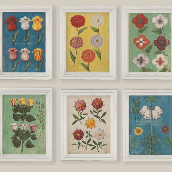 Set Of 6 Cute Naive Primitive 16th Century Colourful Botanical Prints Spring Summer Flowers  A4 or 5x7