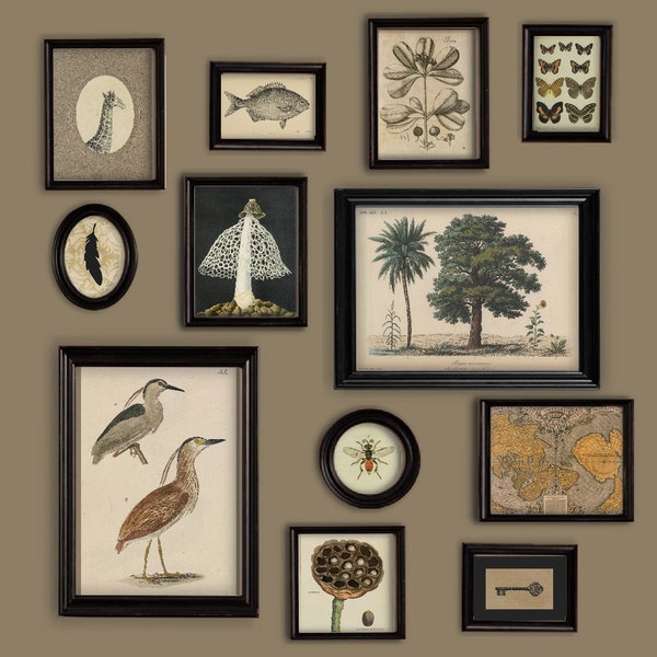 Galeria de Parede, Objetos Diversos, Tema Marrom Neutro, Árvores, Pássaros e Peixes
