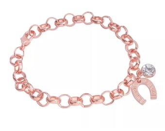Rose Gold Horseshoe Chain Bracelet. Horseshoe Jewelry. Bridle Bling