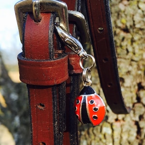 Może przedstawiać: Zbliżenie brązowych skórzanych pasków z metalowymi klamrami i zawieszką w kształcie biedronki. Biedronka jest czerwona z czarnymi kropkami i czarną głową. Zawieszka wisi na srebrnym zapięciu.