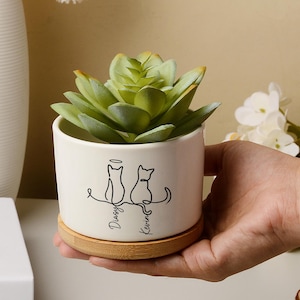 May include: A white ceramic planter with a green succulent plant. The planter features a black line drawing of two cats and the names "Diego" and "Kenna". The planter sits on a round, natural wood saucer. Decorative flowers and a vase are in the background.