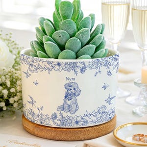 May include: A white ceramic planter with a blue floral pattern and a central illustration of a dog wearing a bow tie above the name Nyra. The planter sits on a circular wooden base and contains a green succulent plant.