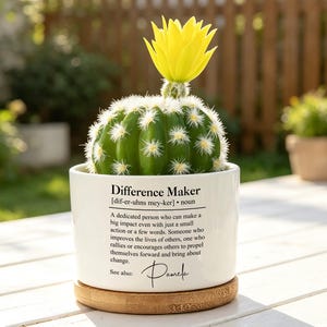 Puede incluir: Un cactus verde con una flor amarilla en una maceta blanca. La maceta tiene el texto "Difference Maker" y una definición. La maceta se encuentra sobre un posavasos redondo de madera. El fondo es una escena borrosa al aire libre.